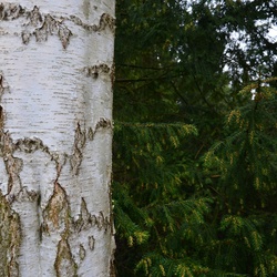 2018-04-14 Copenhagen/Utterslev Mose/DSC_0096.JPG